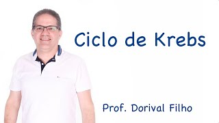 Ciclo de Krebs [upl. by Dace]