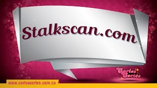 Stalkscancom herramienta para conocer todo de un perfil de Facebook [upl. by Damarra]