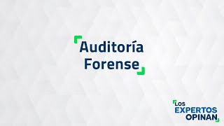 Auditoría Forense [upl. by Nevil110]