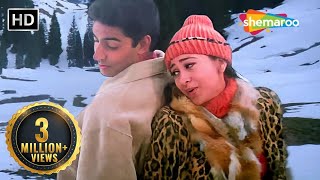 Hum Yaar Hain Tumhare  Haan Maine Bhi Pyaar Kiya 2002  Abhishek Bachchan Karishma Kapoor songs [upl. by Claudian]