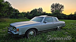 I found a gem in Minnesota 1980 Pontiac Bonneville [upl. by Ardisj]