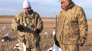 Snow Geese Tips amp Techniques [upl. by Pen]