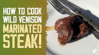 How to cook a TASTY venison steak marinade recipe [upl. by Tatman]