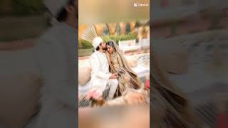 Saboor Ali wedding pics youtubeshorts Syedalaiba890 bollywood song [upl. by Enidlarej574]