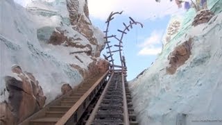 Expedition Everest POV in REVERSE Backwards with Night Vision Disneys Animal Kingdom Disney World [upl. by Nesyaj]