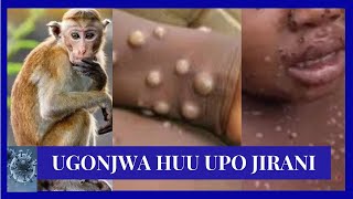 HAKIKISHENI MIPAKA YETU INAKUWA SALAMA KUDHIBITI HOMA YA NYANI MPOX  WAZIRI MHE MOHAMED MCHENGERWA [upl. by Newell167]