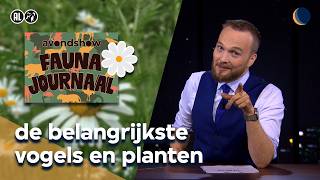 Jongeren herkennen minder vogels en planten  De Avondshow met Arjen Lubach S6 [upl. by Jasmine321]