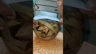 how to culture infusoria with banana leaf how howto culture infusoria bettabreeding shorts [upl. by Tatianas]