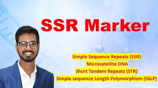 SSR Marker  Simple sequence Repeat Marker  SSLP  Short tandem Repeat STR Microsatellite DNA [upl. by Schnur221]