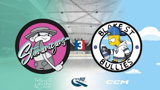 Shenanigans v Blake St Bullies  Div 3  15th October  IceHQ Rec League ice hockey [upl. by Flanders783]