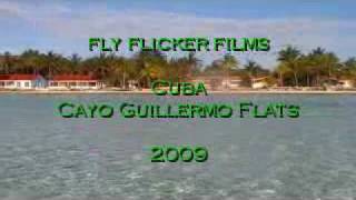 saltwater fly fishing quotcayo guillermo flatsquot [upl. by Dann]