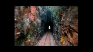 Dilwala Kannada Movie Trailer HD Quality [upl. by Reitrac]