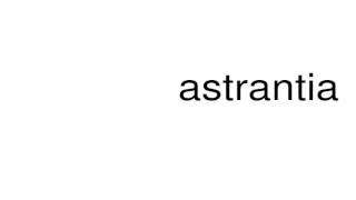 How to pronounce astrantia [upl. by Shafer]