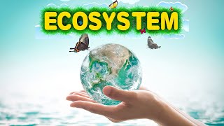 ECOSYSTEM The Dr Binocs Show  Best Learning Videos For Kids  Digital Learning India [upl. by Atsocal]