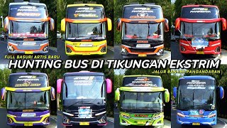 mobil bus telolet quartet bravo Sierra Bumblebee dkk shanum UPJ BS GUVILLI safana Eleganza DLL [upl. by Cairns]