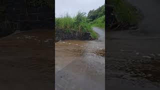 Ka‘alaiki Road flooding on the Na‘alehu side naalehu bigisland hawaii kaalaikiroad flooding [upl. by Kare]