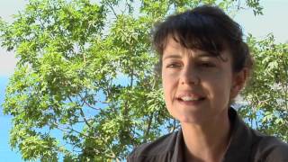 France 2  Malaterra  interview de Constance Dollé [upl. by Cob]