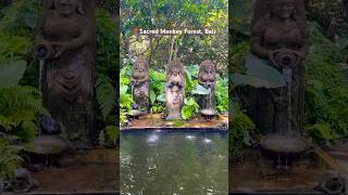 📍Sacred Monkey Forest Bali  Bali Travel Guide [upl. by Montford]