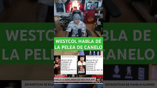 WESTCOL HABLA DE LA PELEA DE CANELO [upl. by Tansy]