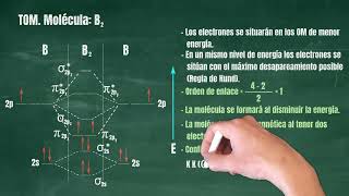 80 Teoría de Orbitales Moleculares Molécula B2 [upl. by Suirred]