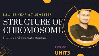 Structure Of Chromosome BSc 1st Year  bsc 1st Semester structure of chromosome Zoology [upl. by Matta299]