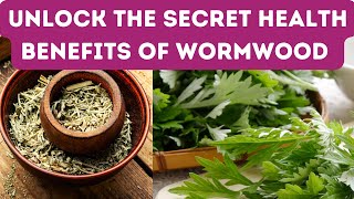 11 BENEFITS OF WORMWOOD  From Inflammation to Improved Digestion Wormwood Does It All [upl. by Jaquiss]