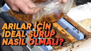 Arılar İçin İdeal Şurup Oranı Ne Olmalıdır Ve Şuruplarla İlgili Tüm Sorular [upl. by Yartnoed188]