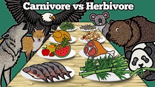 Carnivore vs Herbivore Animals  Learn What Animals Eat In The Forest  Drawing and Coloring Animals [upl. by Adelaja]