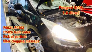 Peugeot Risk of DPF clogging messageP0031 P0102 amp P2426 [upl. by Madaras90]