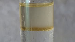 Freebase Reaction of Phenylethylamine HCl PEA [upl. by Croix]