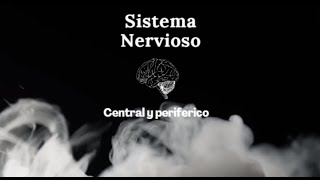 Sistema Nervioso Central y Periférico [upl. by Airrehs]