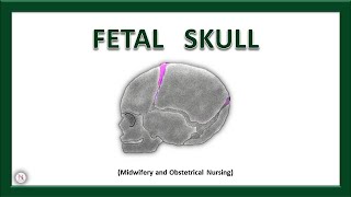 FETAL SKULL  Bones  Sutures  Diameters  Fontanels  Anatomy  OBG Lecture  The Nurses Station [upl. by Petrick]