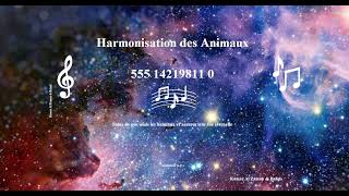 Prendre soin de tous nos amis Animaux  Version Sonore [upl. by Elbam]