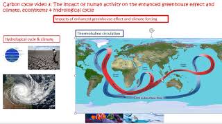 video 3 carbon cyle impacts of enhanced global warming [upl. by Palm718]