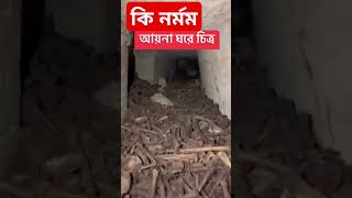 আয়না ঘরayna ghorকতো মানুষের লাশ গুম করা হয়েছে। [upl. by Ahsinrac646]