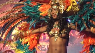 Trinidad Carnival 2015 Yuma Band Launch JahDestiny [upl. by Mella]