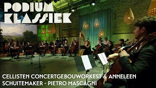 Cellisten Concertgebouworkest amp Anneleen Schuitemaker  Pietro Mascagni  Podium Klassiek [upl. by Langill295]