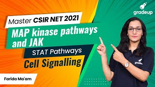 CSIR NET Master Series  Cell Signalling  MAP kinase pathways and JAK  STAT Pathways  Gradeup [upl. by Myk]