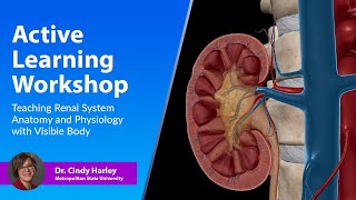 Active Learning Workshop Teaching Renal System Anatomy amp Physiology with Visible Body [upl. by Aniala]