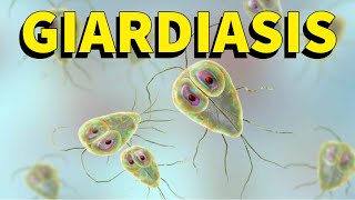 GIARDIASIS CICLO BIOLOGICO EXPLICADO FACIL [upl. by Rex]