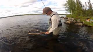 Fliegenfischen in Lapland [upl. by Shelba]