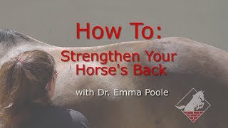 Strengthening Your Horses Neck Back and Pelvis Develop the Topline with Three Easy Exercises [upl. by Oned]