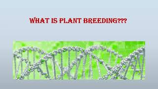 What is plant breeding [upl. by Nospmas]