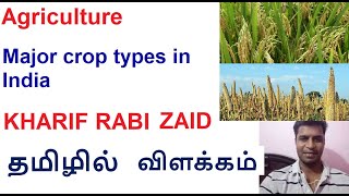 Agriculture Major Crop types in India Kharif Rabi and Zaid crops explained in Tamil [upl. by Hearsh]