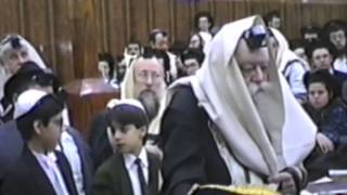 The Lubavitcher Rebbe Shacharit at 770  Rare Film  First time on web [upl. by Acirtap844]