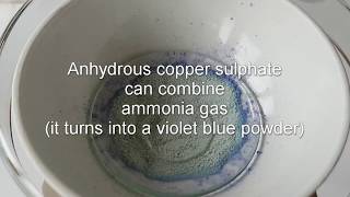 Copper sulphate dehydration and reaction with ammonia [upl. by Tiana557]