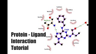 ProteinLigand Interaction Tutorial [upl. by Otero]