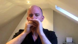 Harmonica Tongue Blocking LESSON 5  William Clarke Style [upl. by Colner]