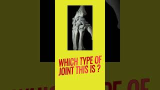 Joints in bones  Condyloid joint  Wrist Joint  Human skeletal system biology ncert bones [upl. by Ymarej]