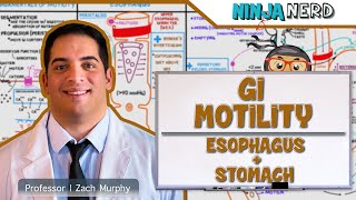 Gastrointestinal  GI Motility of the Esophagus amp Stomach [upl. by Davena]